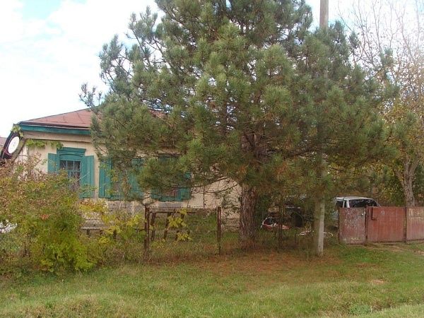 Дом с участком, 50 кв.м., Краснодарский край, Северский район, Крепостная